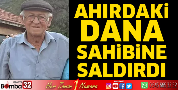 Dana sahibine saldırdı