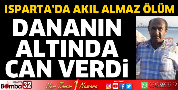 Dananın tepmesi sonucu hayatını kaybetti