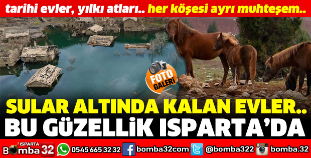 DARIBÜKÜ KÖYÜ'NDE SULAR ALTINDA KALAN EVLER SEYİRLİK GÖRÜNTÜ OLUŞTURUYOR