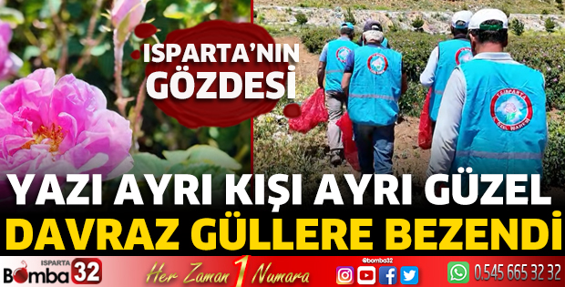 Davraz güllere bezendi