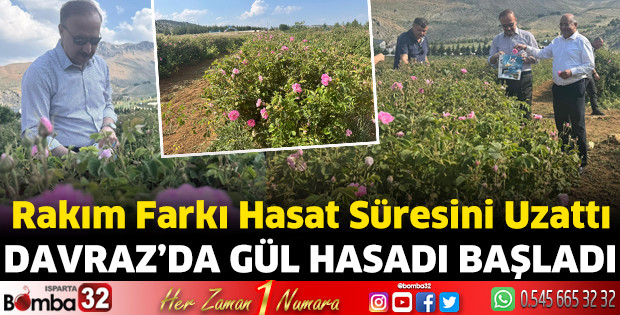Davraz’da Gül Hasadı Başladı