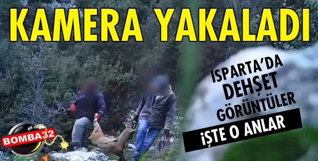 DEHŞET VERİCİ GÖRÜNTÜLER!