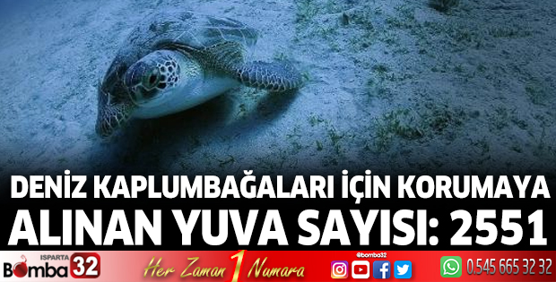 Deniz kaplumbağaları için korumaya alınan yuva sayısı: 2551
