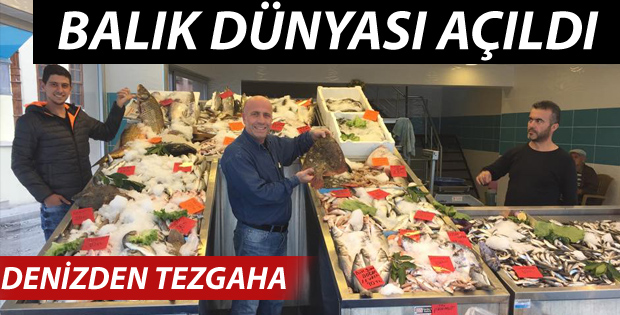 DENİZDEN TEZGAHA BALIK DÜNYASI AÇILDI