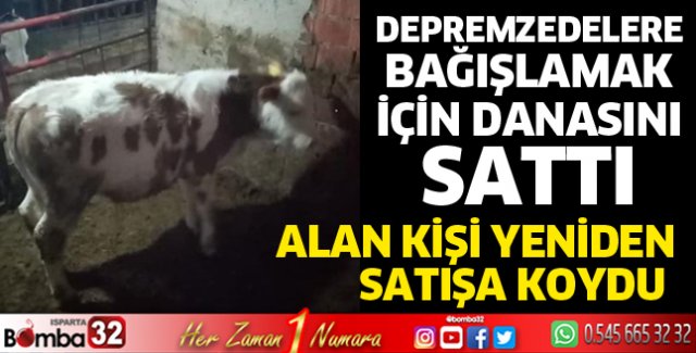 Depremzedelere bağışlamak için danasını sattı