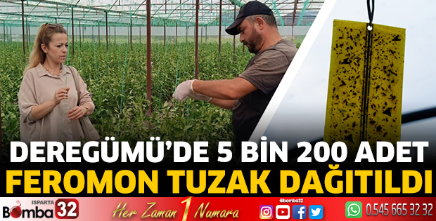 Deregümü’de 5 bin 200 adet feromon tuzak dağıtıldı