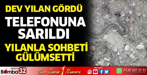 Dev yılanı görünce telefonuna sarıldı