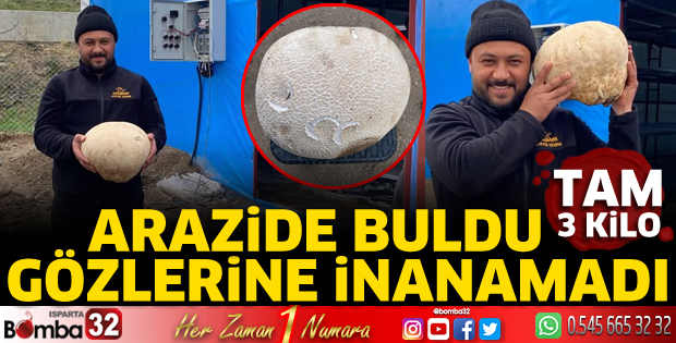Devasa büyüklükte mantar