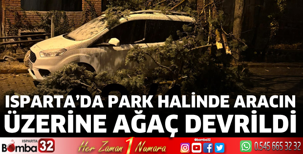Devrilen ağaç aracın üzerine düştü 