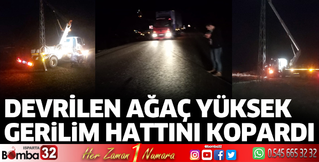 Devrilen ağaç yüksek gerilim hattını kopardı