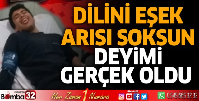 Dilini eşek arısı soktu