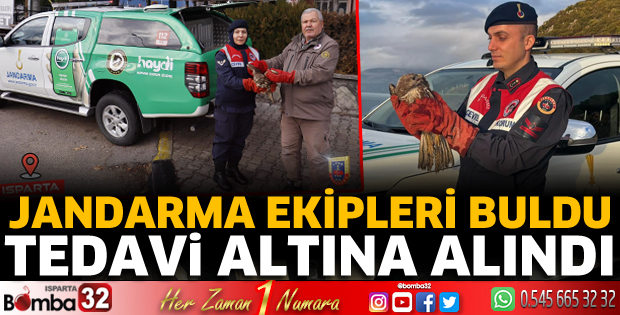 Doğada jandarma ekipleri yaralı halde buldu