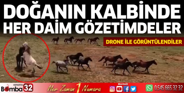 Doğanın kalbinde gözetimdeler 