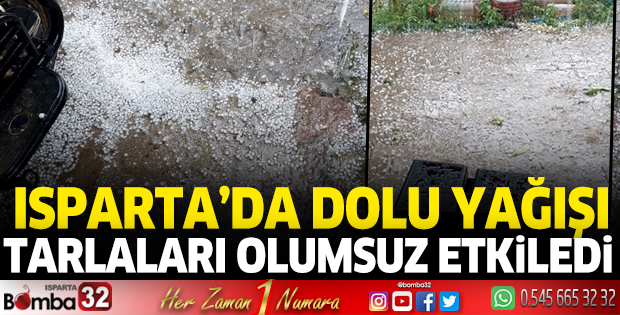 Dolu yağışı tarlaları olumsuz etkiledi