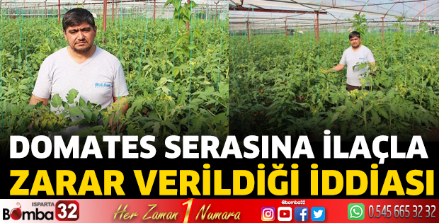 Domates serasına ilaçla zarar verildiği iddiası