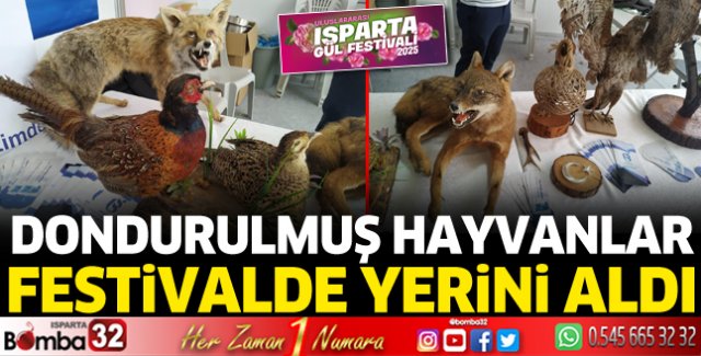 Dondurulmuş hayvanlar festivalde yerini aldı  