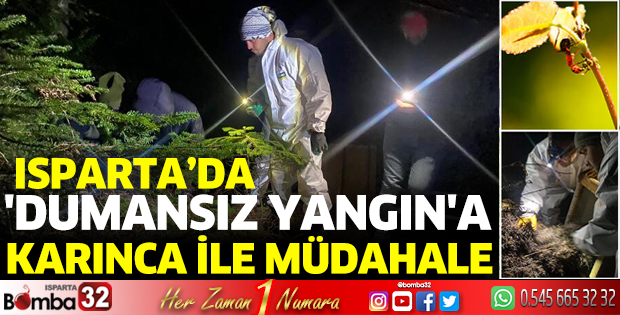 Dumansız yangına karınca ile müdahale