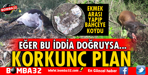 EĞER BU İDDİA DOĞRUYSA! BUNUN ADI VAHŞET