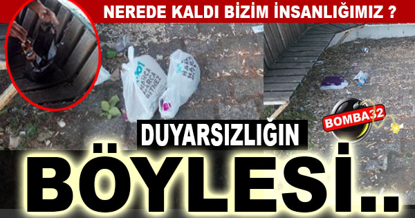 Eğirdir Gölü Kenarında İstenmeyen Manzaralar