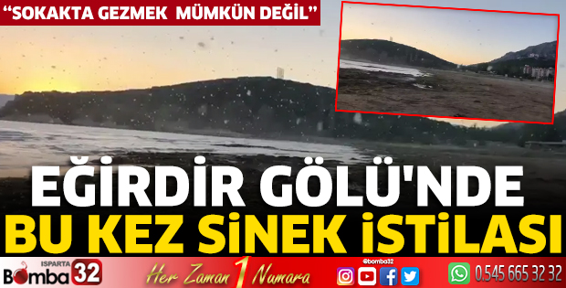Eğirdir Gölü'nde bu kez sinek istilası
