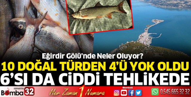 Eğirdir Gölü'nde ekokırım