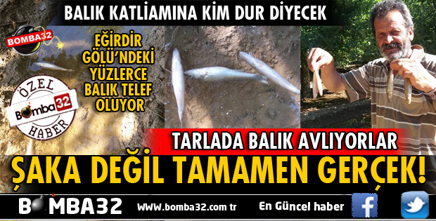 EĞİRDİR GÖLÜ'NDEKİ BALIKLAR TARLALARDA TELEF OLUYOR