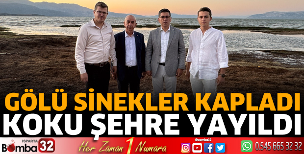 Eğirdir Gölü'nü sinekler kapladı 