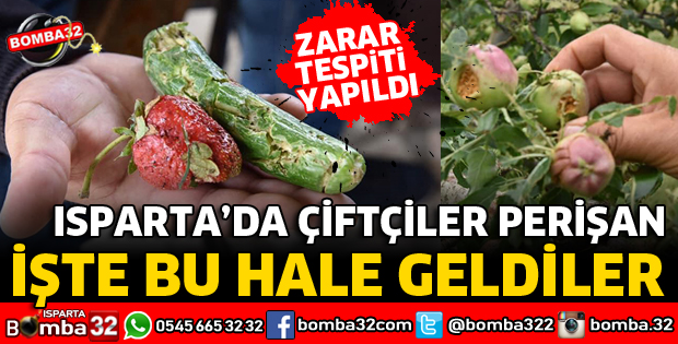 EĞİRDİR’DE DOLU ZARARI ZARAR TESPİTİ YAPILDI