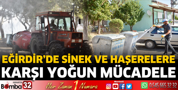 Eğirdir'de ilaçlama çalışmaları sürüyor