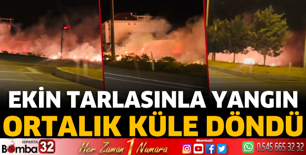 Ekin tarlasında yangın