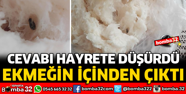 EKMEĞİN İÇİNDEN ÇIKANI GÖRÜNCE ŞOKA UĞRADI