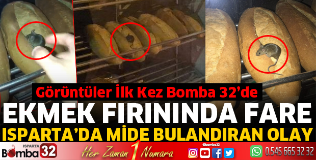 Ekmek fırınında fare