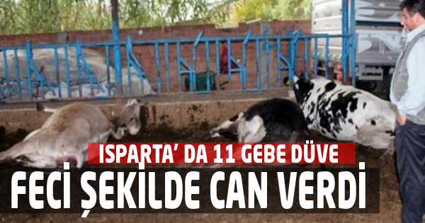 Elektrik Akımına Kapılarak Can Verdi