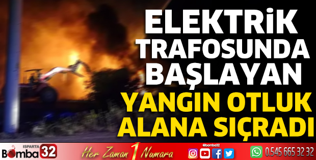Elektrik trafosunda başlayan yangın otluk alana sıçradı