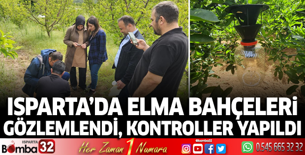 Elma bahçeleri gözlemlendi