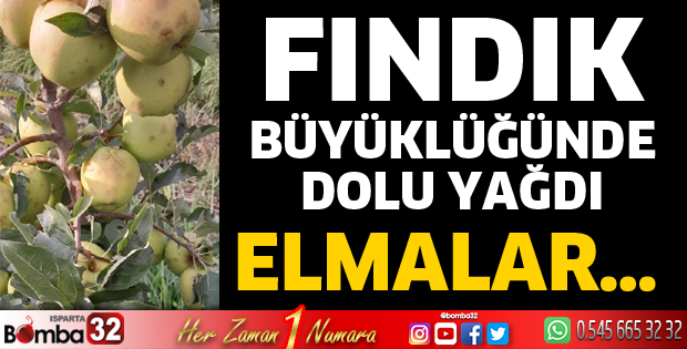 Elmayı dolu vurdu