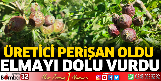 Elmayı dolu vurdu