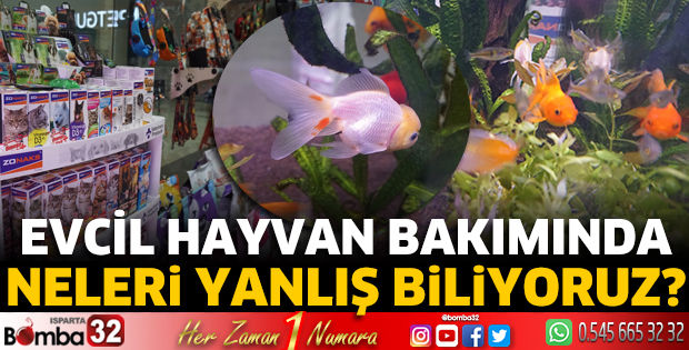 Evcil hayvan bakımında neleri yanlış biliyoruz?