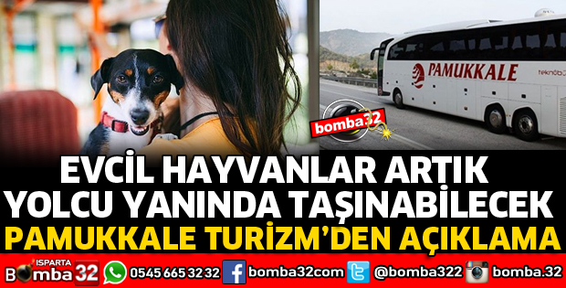 EVCİL HAYVANLAR ARTIK YOLCU OTOBÜSÜNDE TAŞINABİLECEK