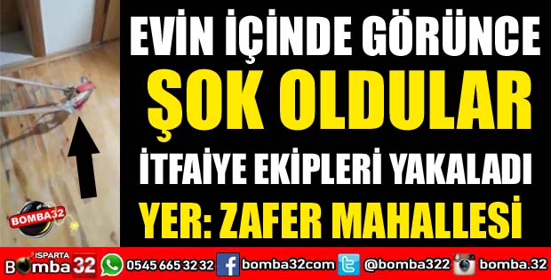 EVİN İÇİNDE GÖRÜNCE ŞOK YAŞADILAR