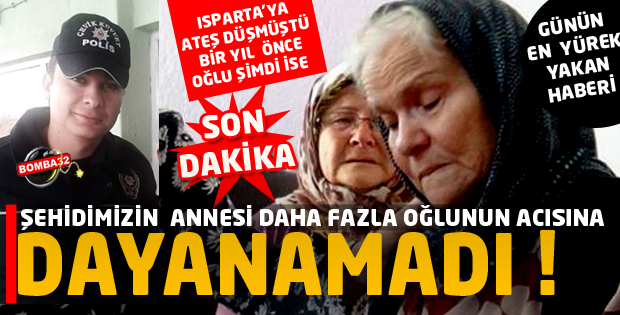 EVLAT ACISINA DAYANAMADI 