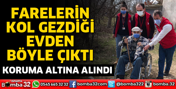 FARELERİN KOL GEZDİĞİ EVDEN BÖYLE ÇIKTI