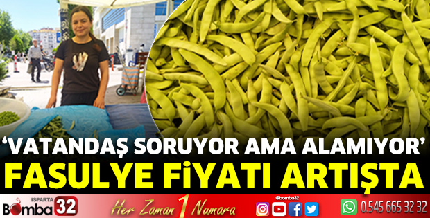 Taze fasulyenin fiyatı artışta