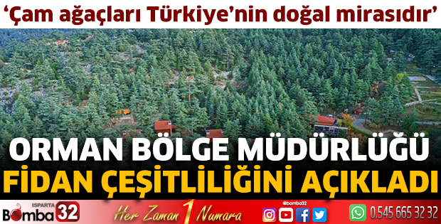 Fidan çeşitliliği açıklandı