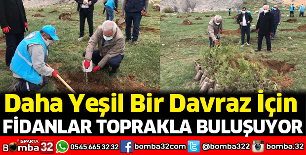 Fidanlar toprakla buluşuyor