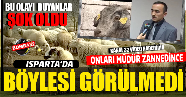 Film gibi dolandırıcılık...