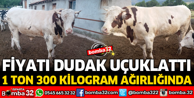 FİYATI DUDAK UÇUKLATIYOR