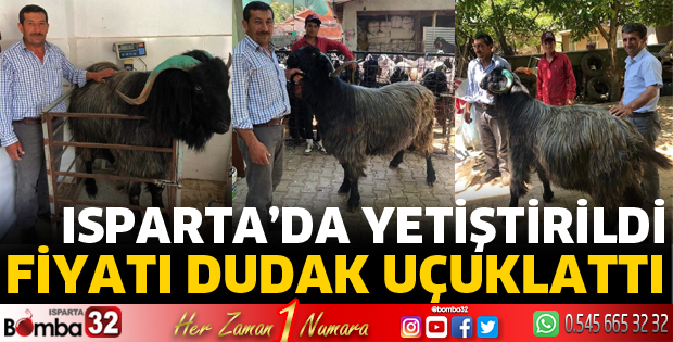 Fiyatı dudak uçuklatıyor
