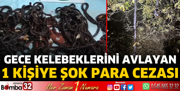 Gece kelebeklerini avlayan 1 kişiye şok para cezası 