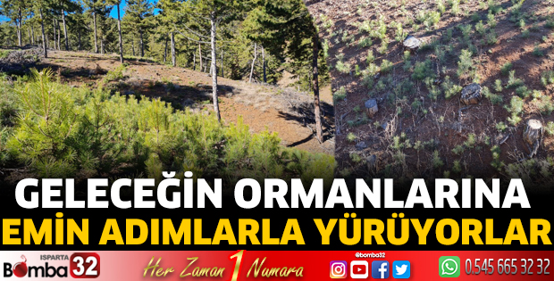 Geleceğin ormanlarına emin adımlarla yürüyorlar